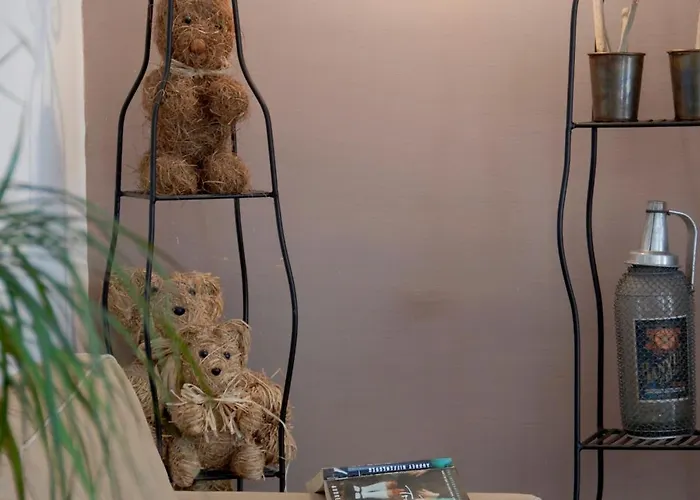 La Maison Vieille & Carcasona