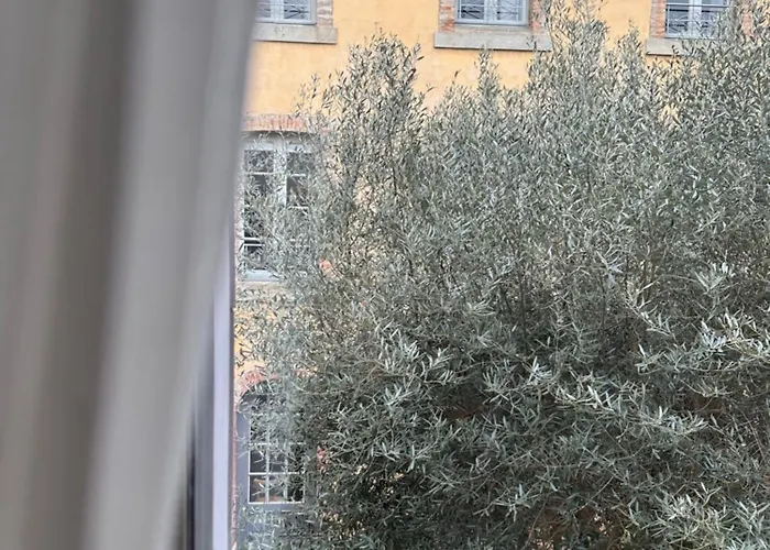 La Maison Vieille & Carcasona